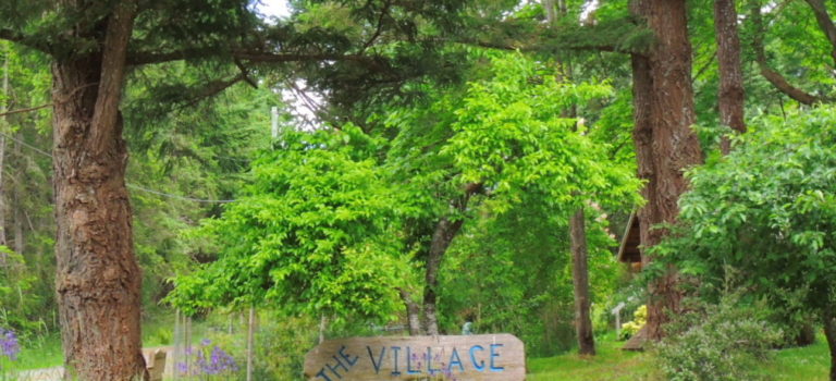 About the Village