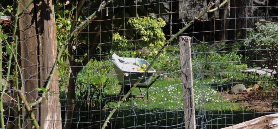 HIHS Hornby Island Housing Society