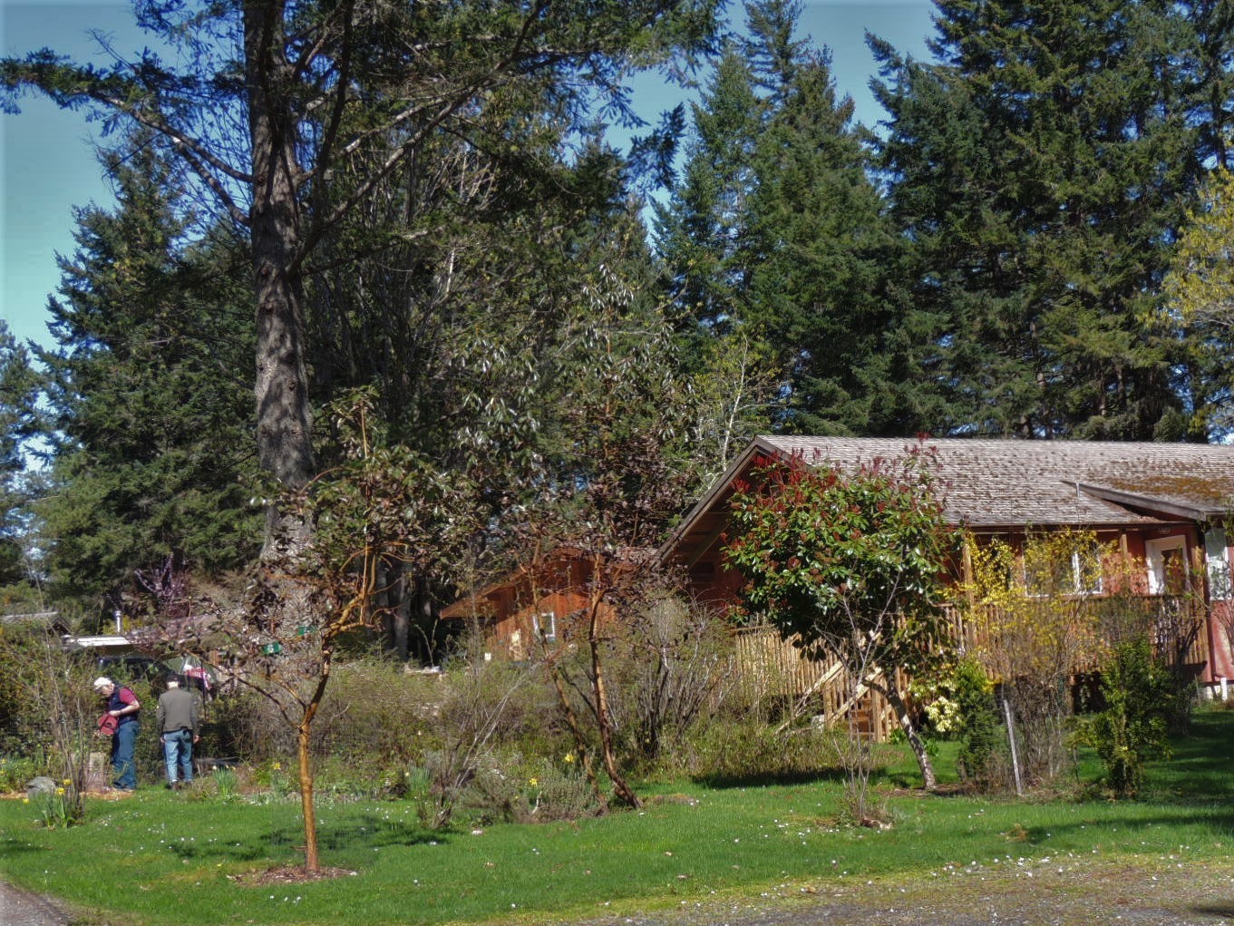 Housing on Hornby Making it Happen HIHS